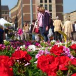 686ec9_4cfb91cb09cc4634866a11122de3f310~mv2