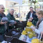 boeskoolmarkt-terapel