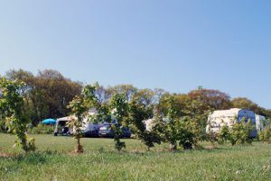 camping