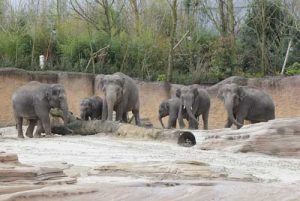 WILDLANDS Adventure Zoo Emmen
