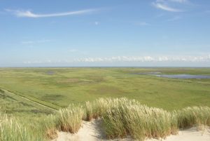 terschelling