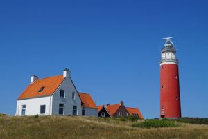 texel