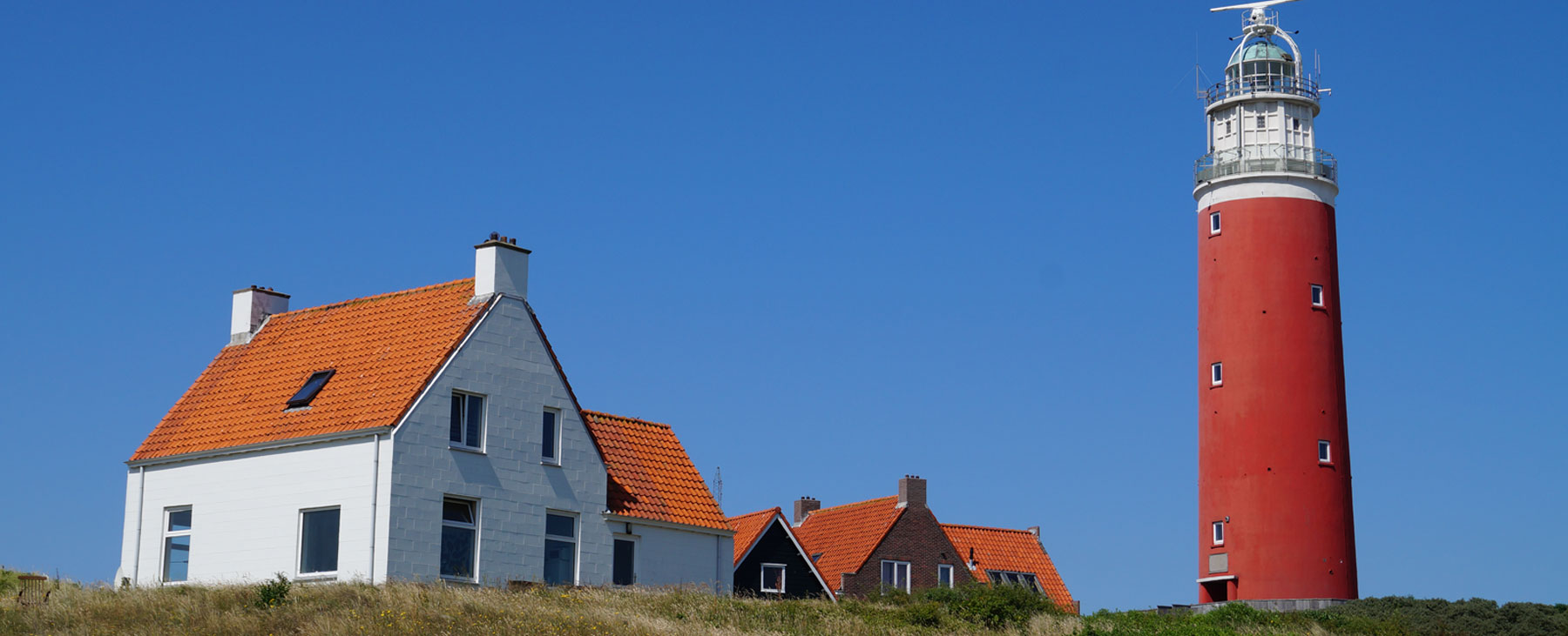 Texel