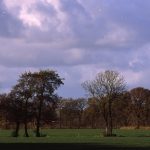 2016-09-18-de-kleibosch-met-molen-foto-jaap-de-vries