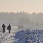 winterwandeling-boomkroonpad