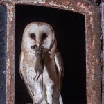 14523117_667193053441696_7292461093656294115_n