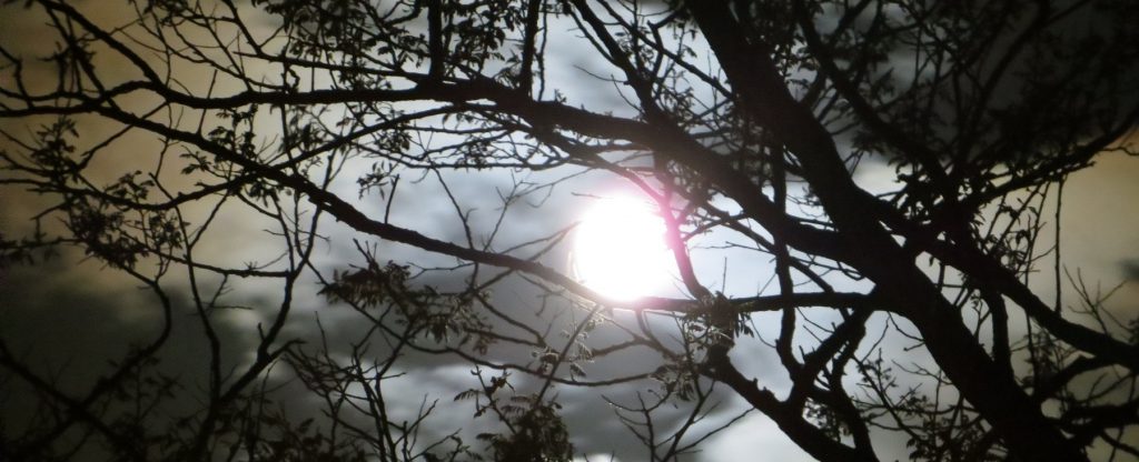 volle maan wandeling