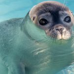 Fotograaf Martina Zilian