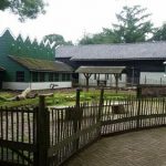 Kinderboerderij oude dierenpark