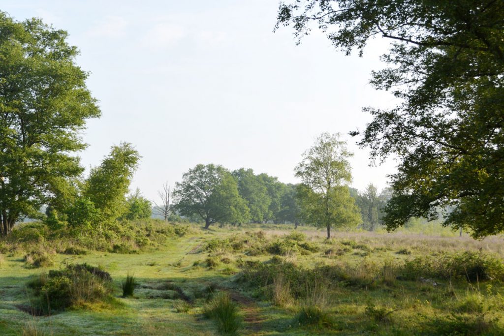 Takkenhoogte-Meeuwenveen