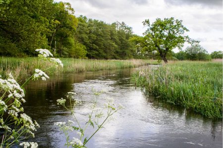 Nationaal Park Drentsche Aa