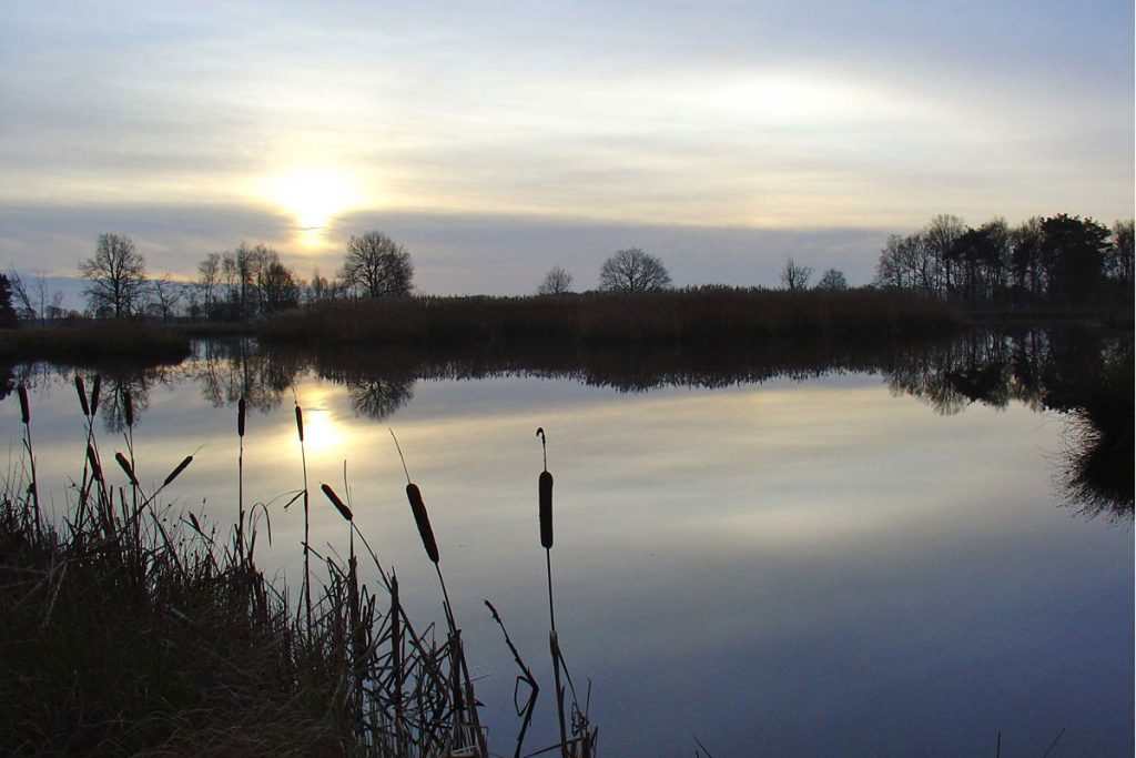 Nationaal Park Dwingelderveld