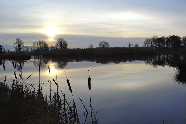 Nationaal Park Dwingelderveld