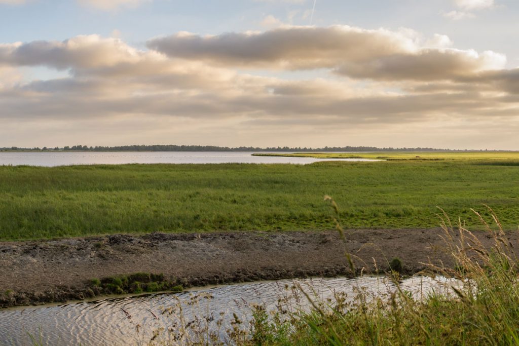 Nationaal Park Lauwersmeer