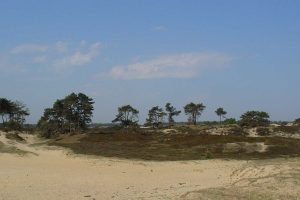 Nationaal Park Drents Friese wold