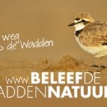 Banner_Strandplevier_350x200