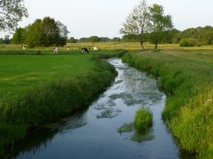 Drentsche Aa