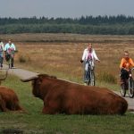 Fietsers-Foto-Joop-van-der-Merbel