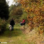 westerwolde ommentkje