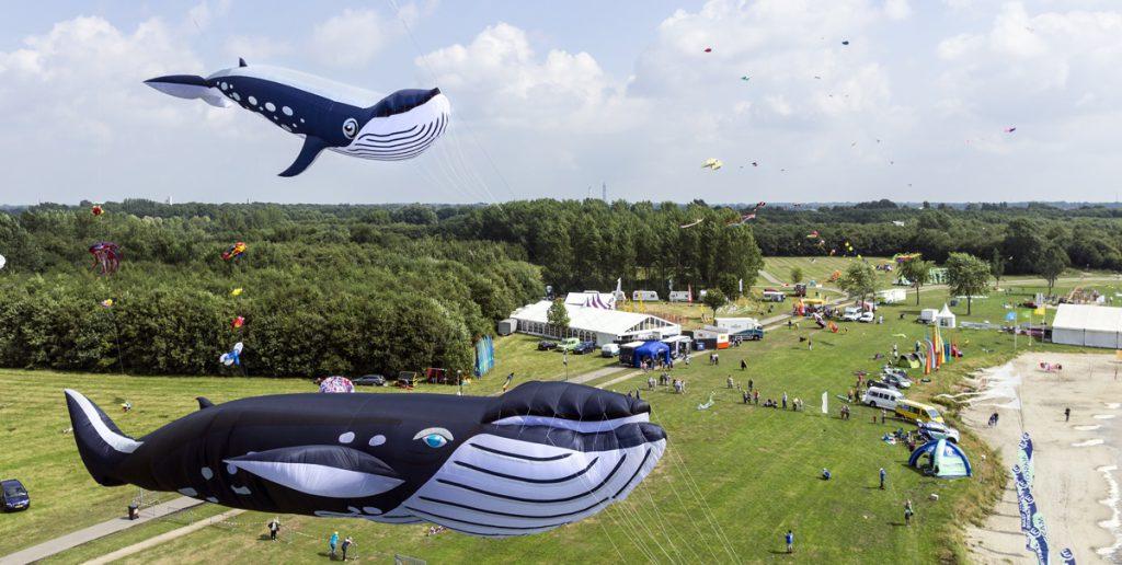 vliegerfestival