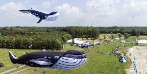 vliegerfestival
