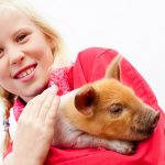 20161009 Stoer bij de Boer (18 van 79)