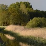 Duunsche landen Foto Jaap de Vries