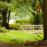 2018-05-27 asserbos-bosbeek-bruggetje Foto Het Drentse Landschap