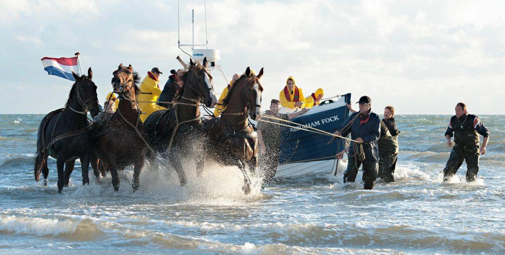 Demonstratie paardenreddingboot