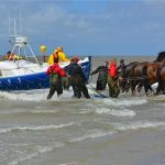 Demonstratie paardenreddingboot