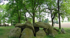 Hunebed-D29