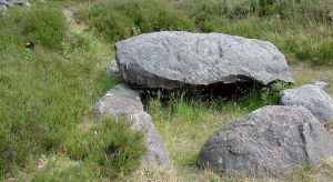 Hunebed-D39