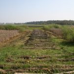 Veenweg bij Smilde Foto Het Drentse Landschap