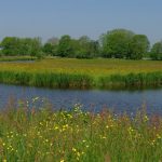 Reest Foto Joop van der Merbel-Het Drentse Landschap