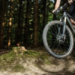 Dwingelderveld MTB toertocht