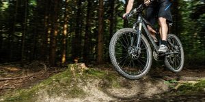 Dwingelderveld MTB toertocht