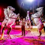 34046813_257036268191097_4287514320855629824_n