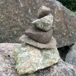 Hebben stenen wortels