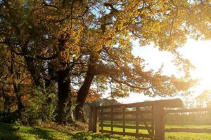 Excursie natuurinclusieve landbouw