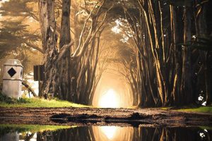 Fable and Fantasy