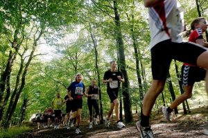 Lauwersmeer Marathon
