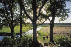 Pinksterwandeling