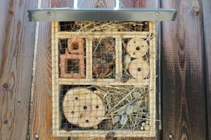 Wilde bijenhotel maken