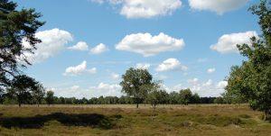orveltezand
