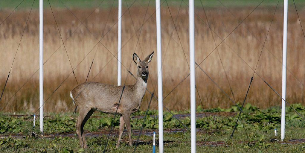 LOFAR-natuur-en-techniek