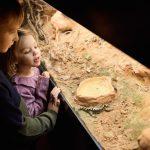 20211208-libema-aquazoo-gezin-winter-1181