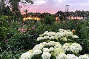 Zonsondergang - hoofdmeestertuin