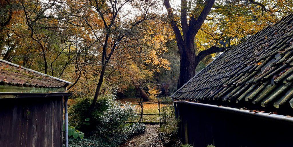 Herfstwandelingen landgoed Overcingel