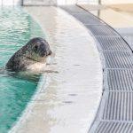 Martina Zilian – Olaf in het Golfbad