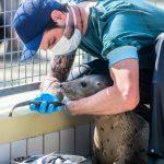 Voederpresentatie – Martina Zilian